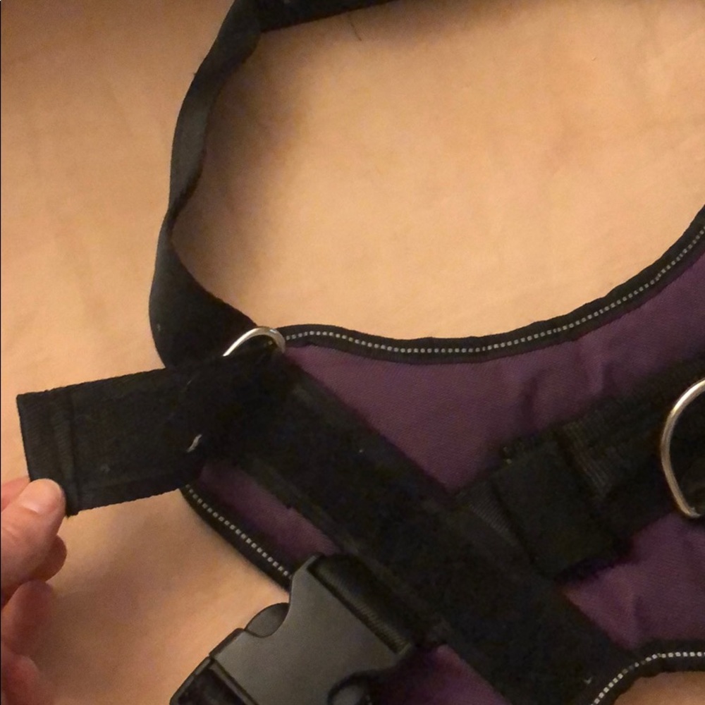 Bolux dog harness - Picture 3 of 4